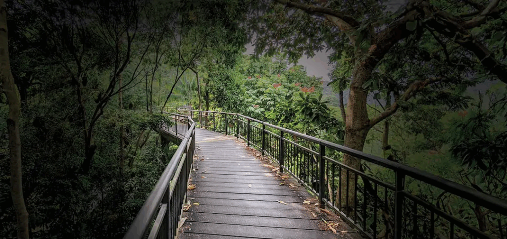 godrej forest estate nagpur plots photos9