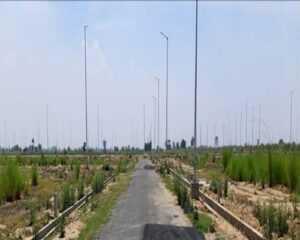 plots in Sector 151 Noida