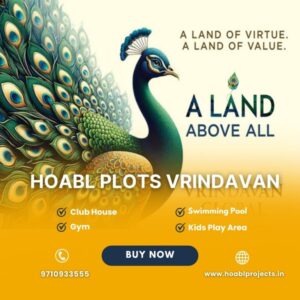 Hoabl Plots Vrindavan